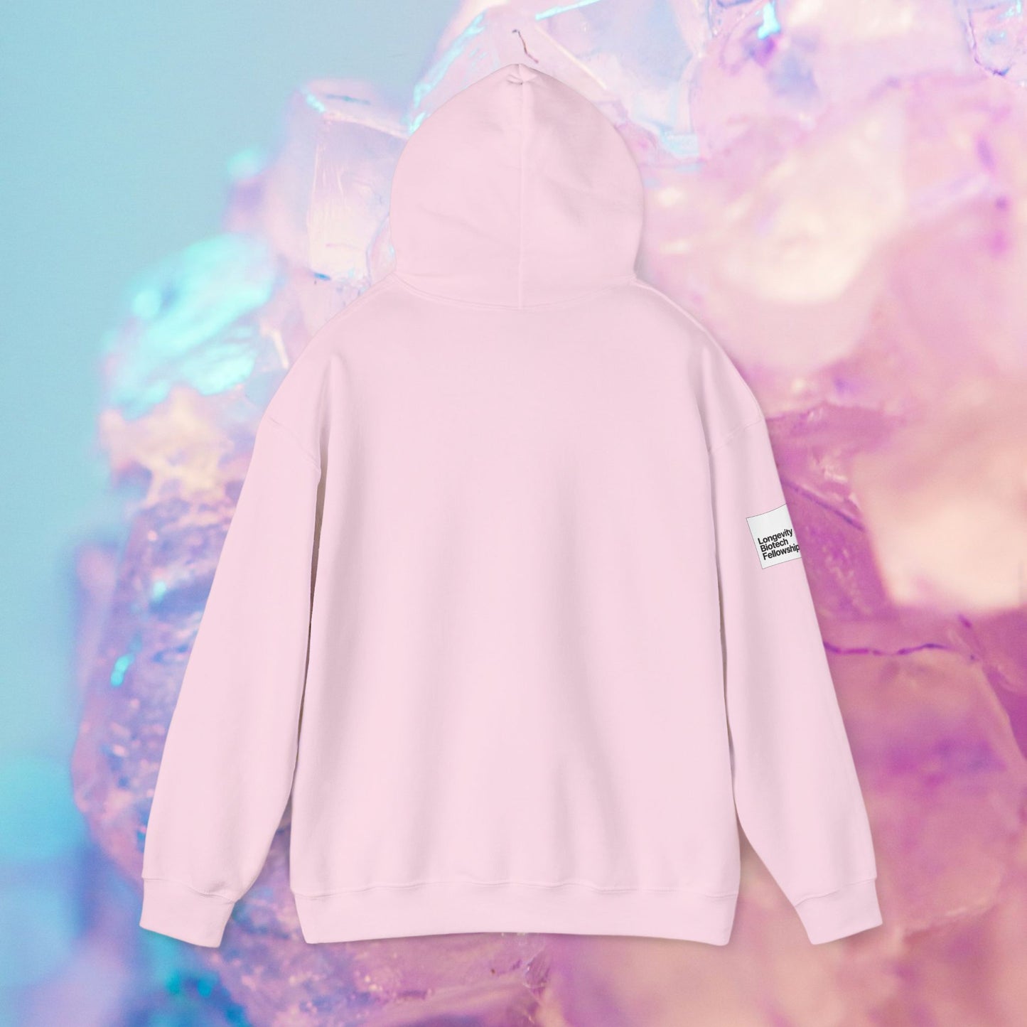 Longevity Hoodie