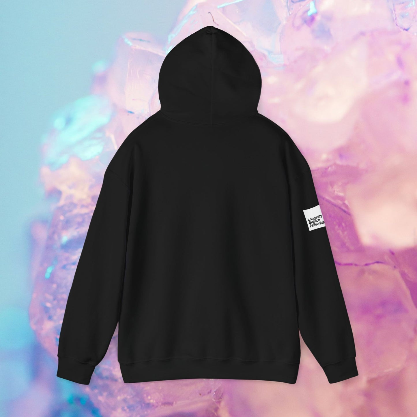 Longevity Hoodie