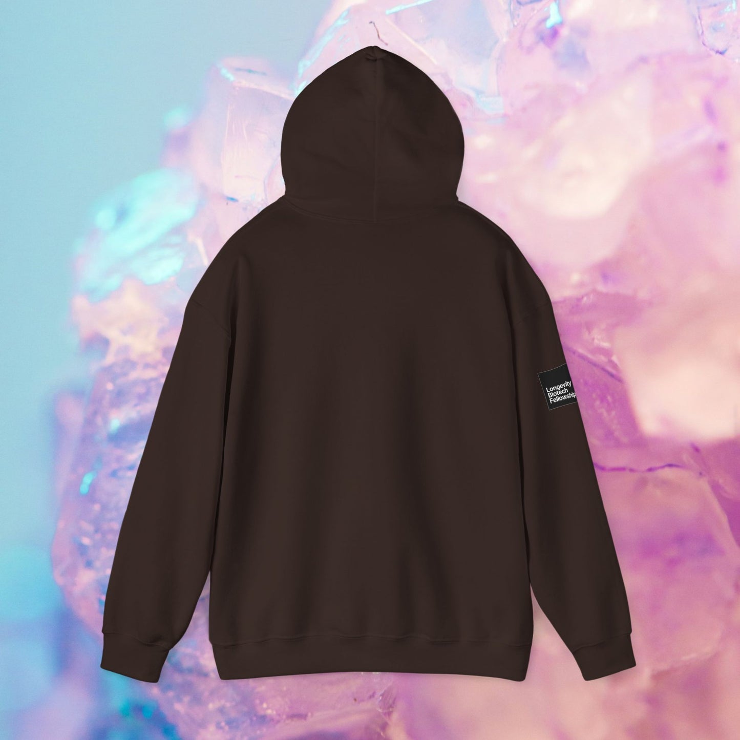 Boat-Burning Hoodie