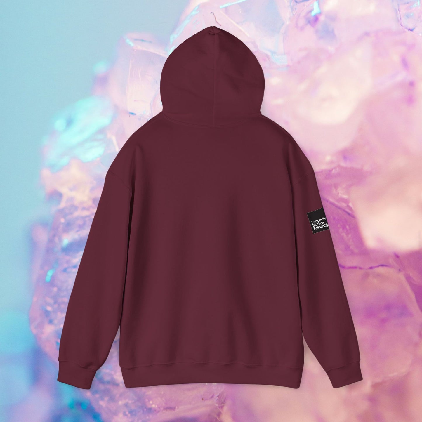 Boat-Burning Hoodie