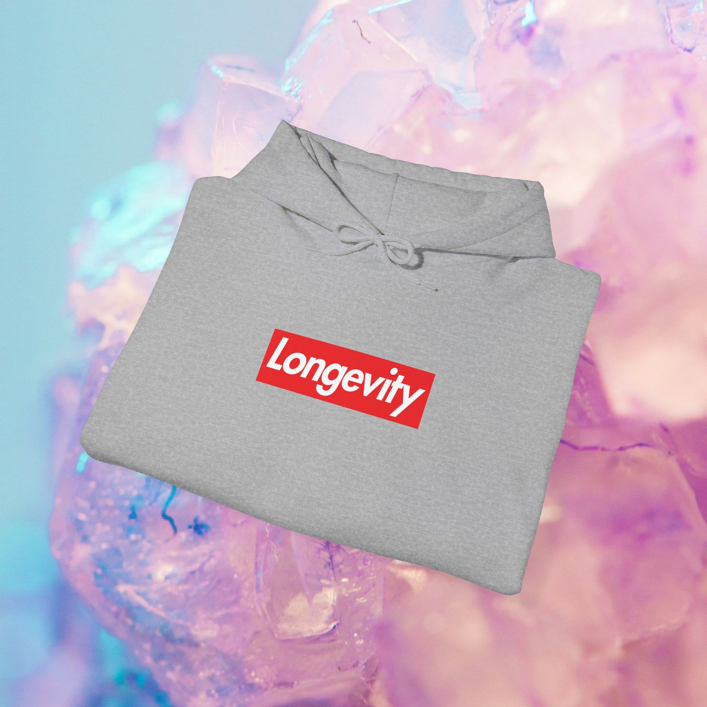 Longevity Hoodie