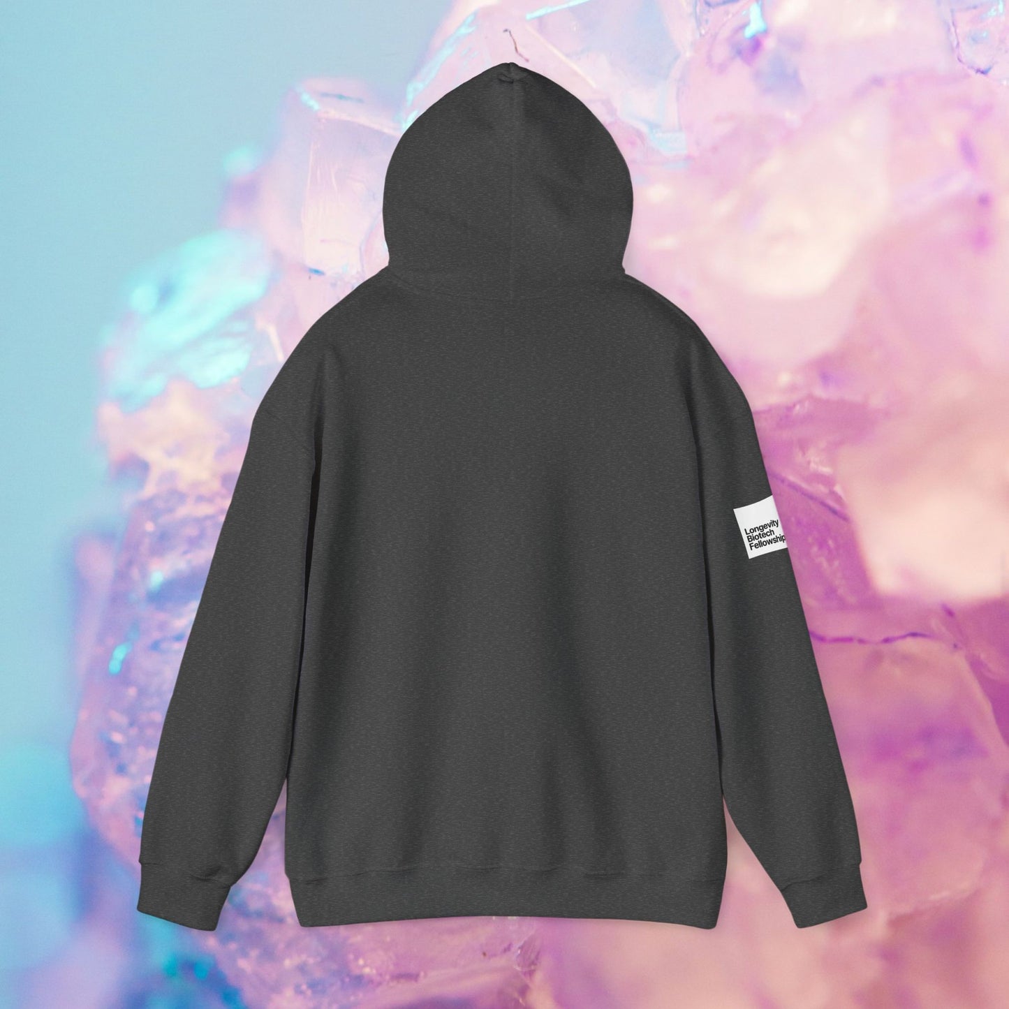 Longevity Hoodie