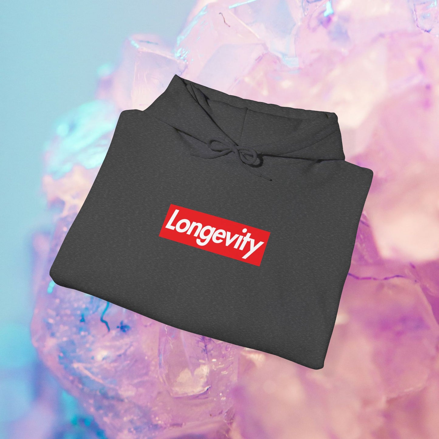 Longevity Hoodie