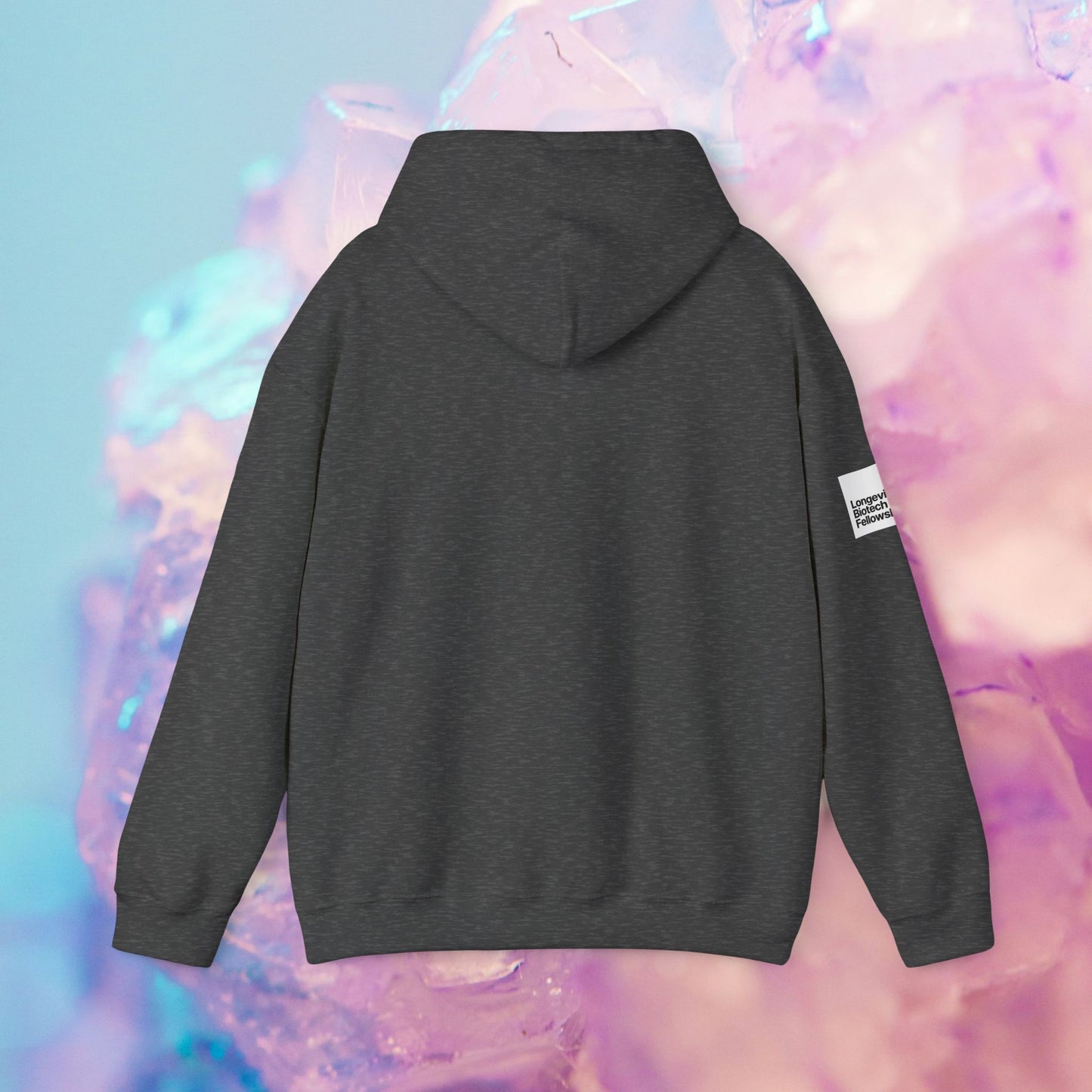 Longevity Hoodie