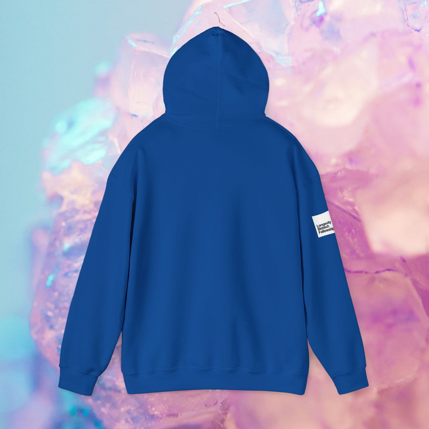 Longevity Hoodie