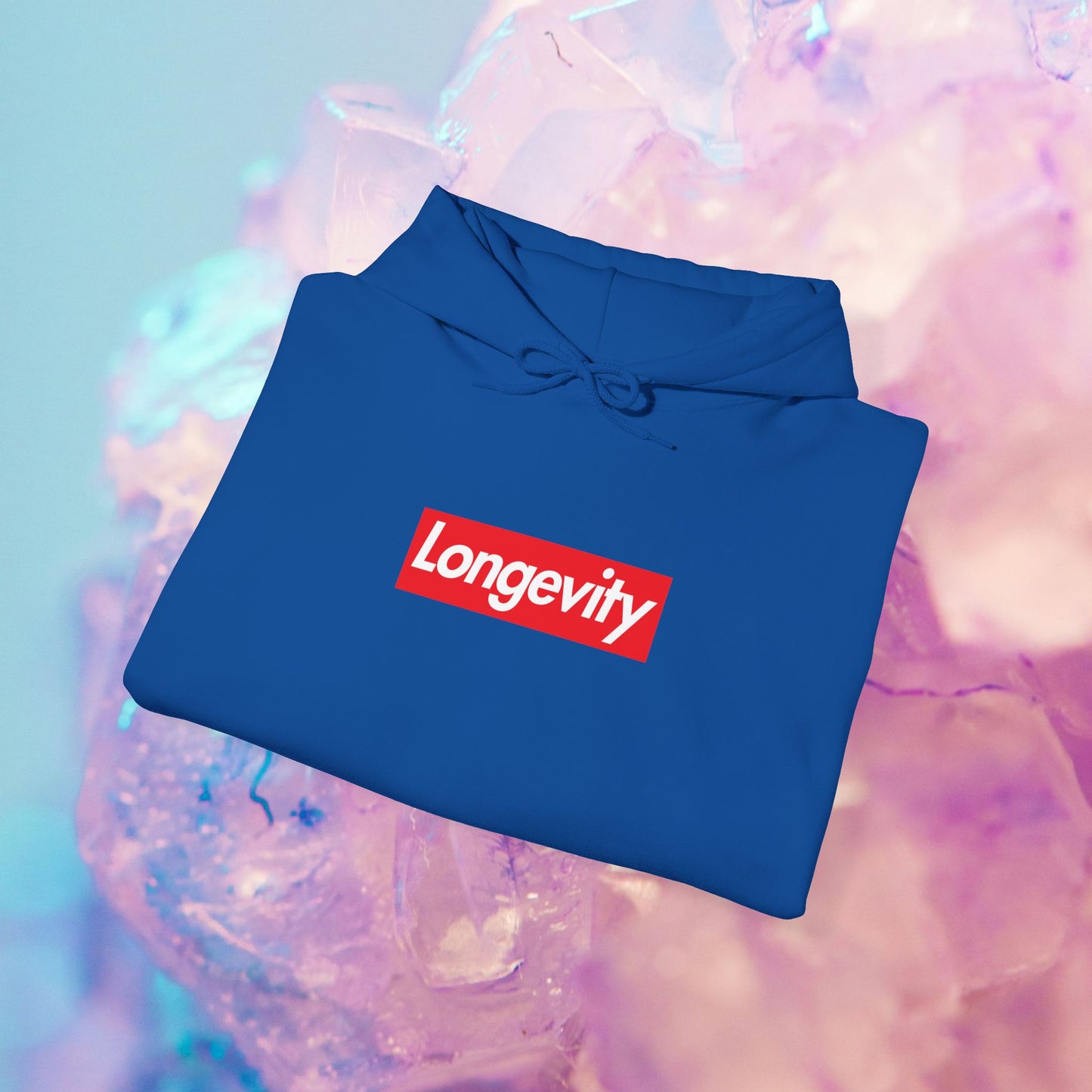 Longevity Hoodie