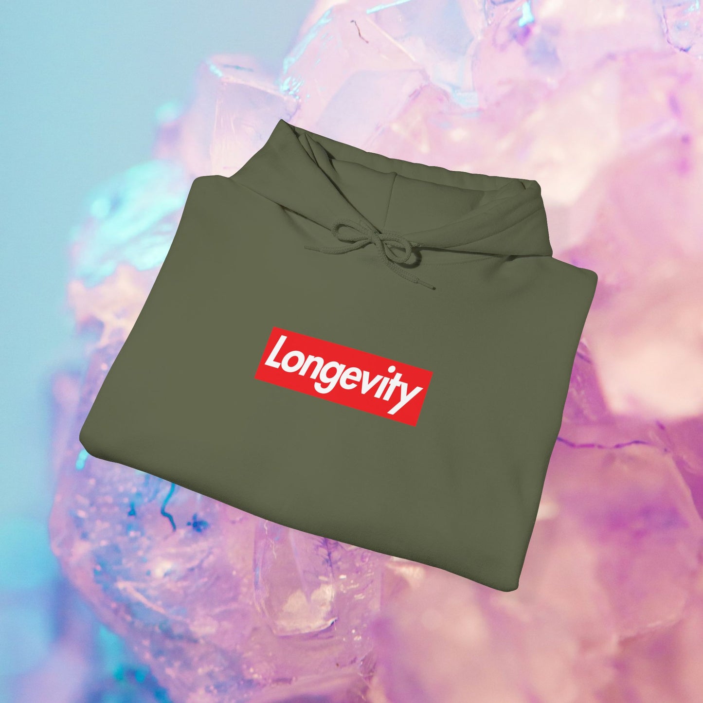 Longevity Hoodie