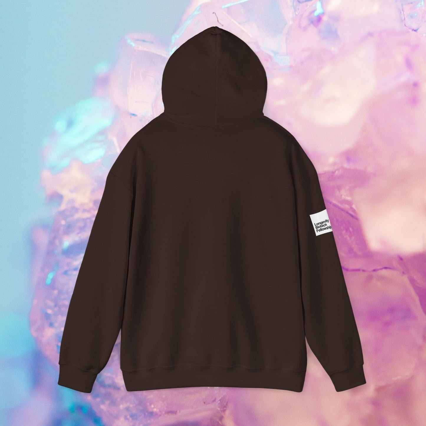Longevity Hoodie