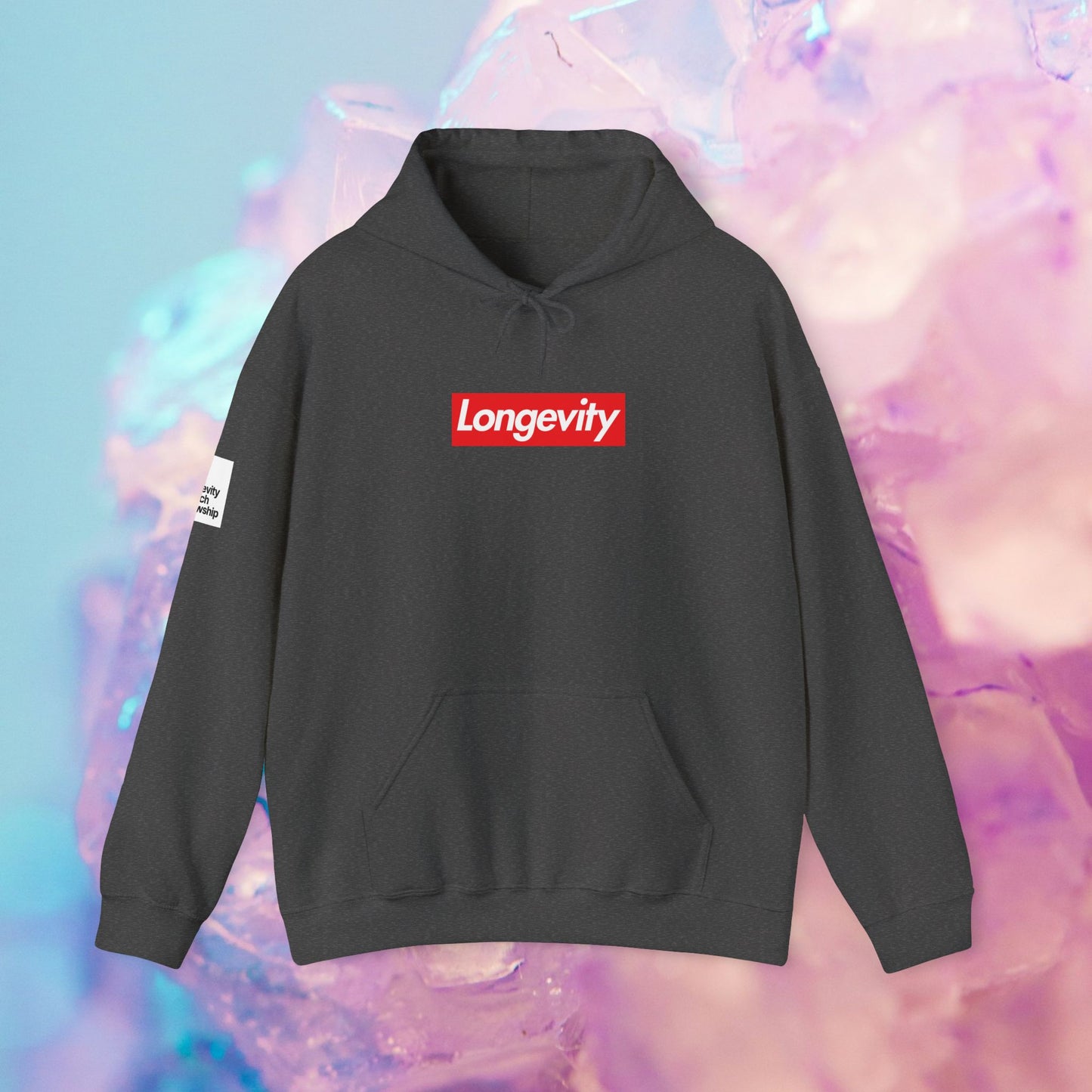 Longevity Hoodie