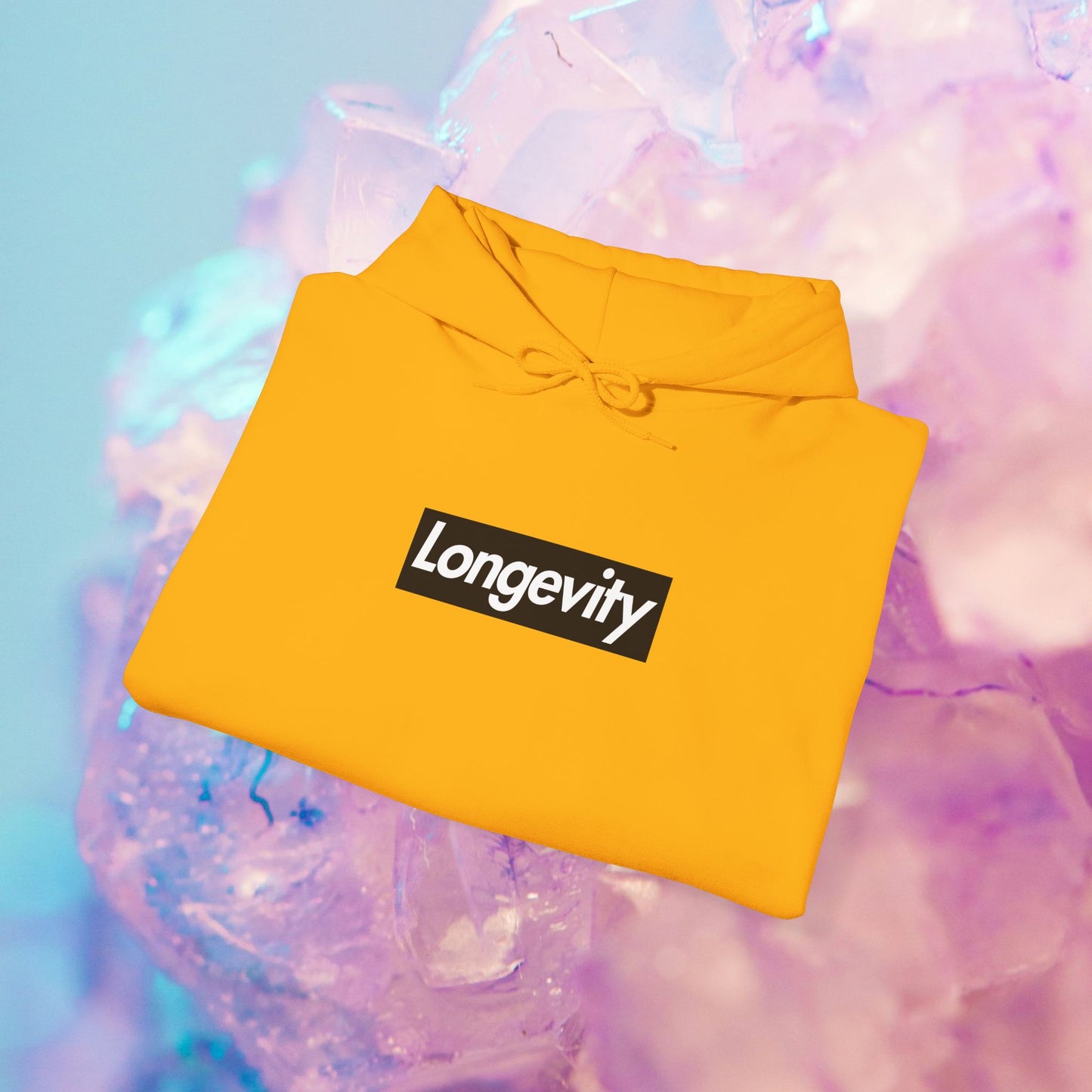 Hourglass Longevity Hoodie
