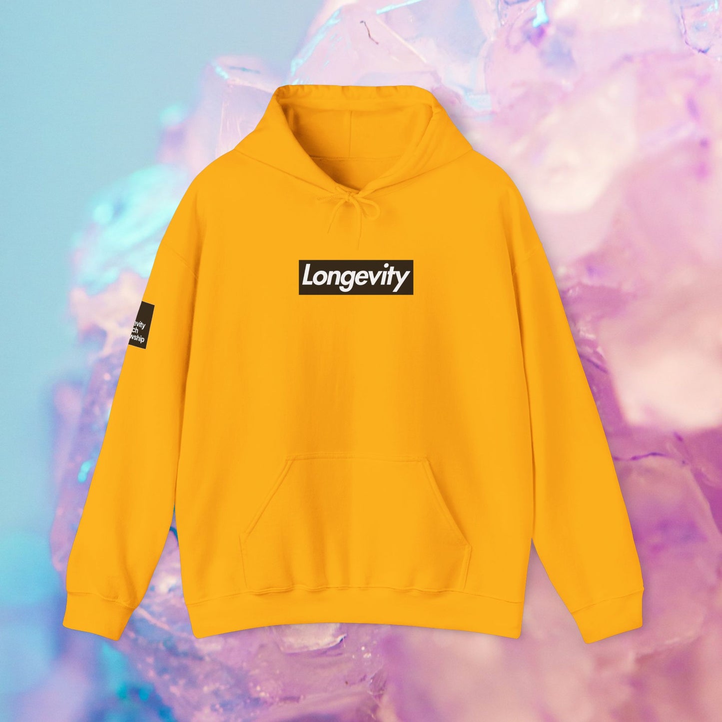 Hourglass Longevity Hoodie