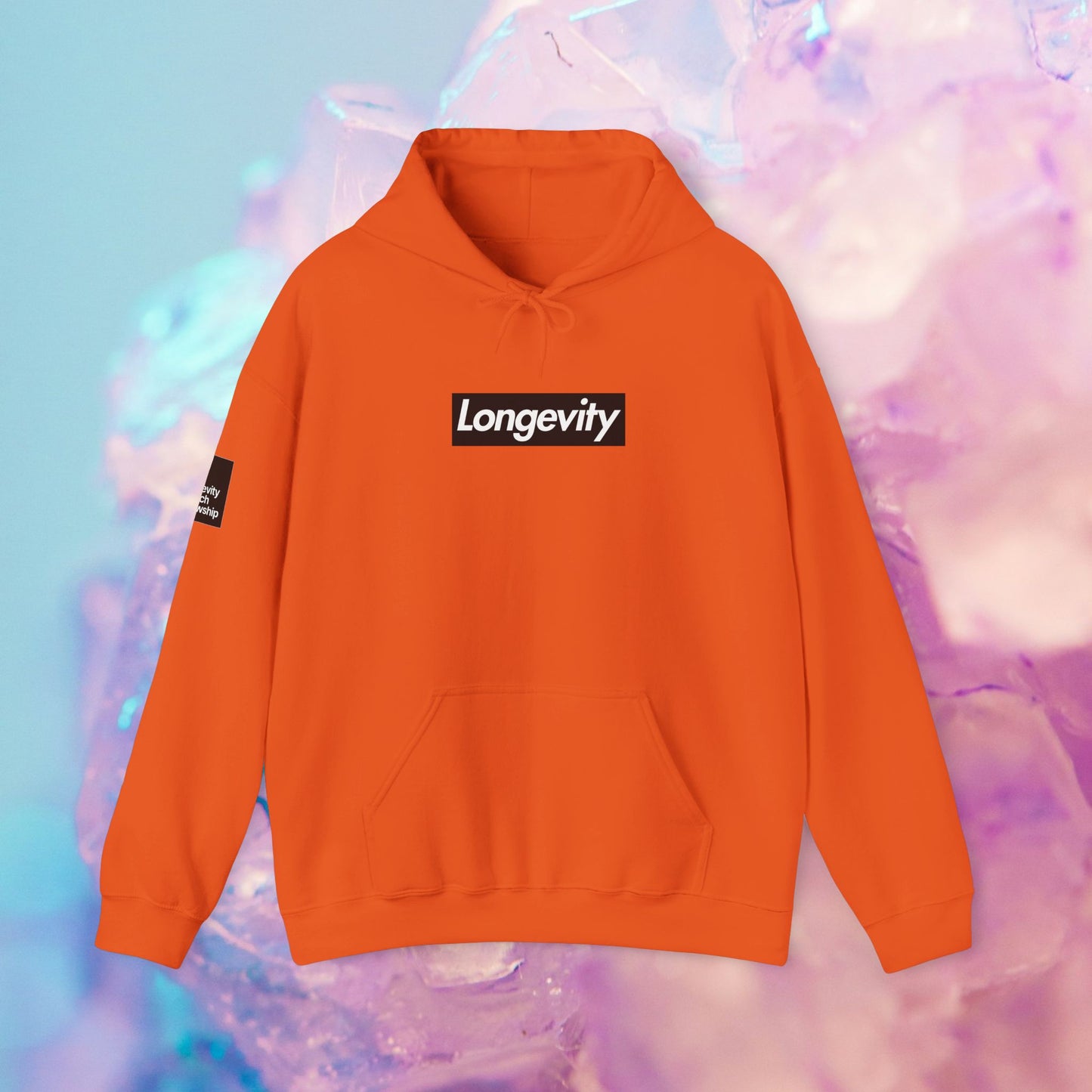 Hourglass Longevity Hoodie