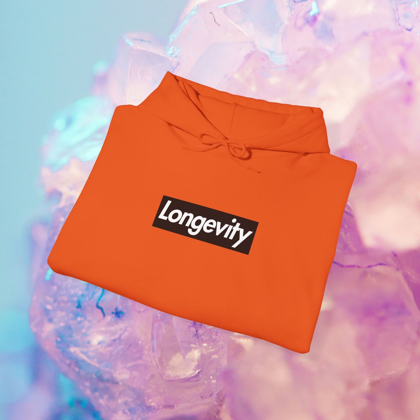 Hourglass Longevity Hoodie